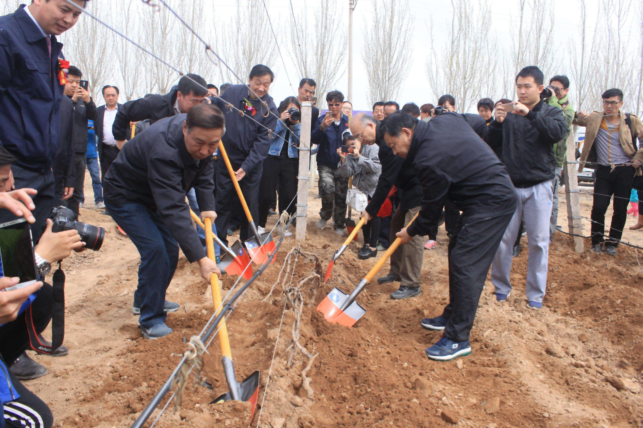 春耕展藤|春天了,花都开好了